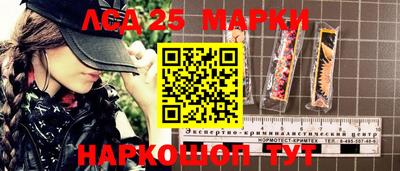тгк Шебекино