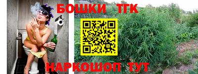 тгк Шебекино