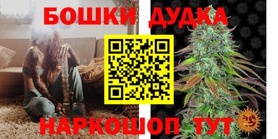 тгк Шебекино