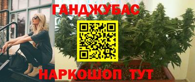 тгк Шебекино