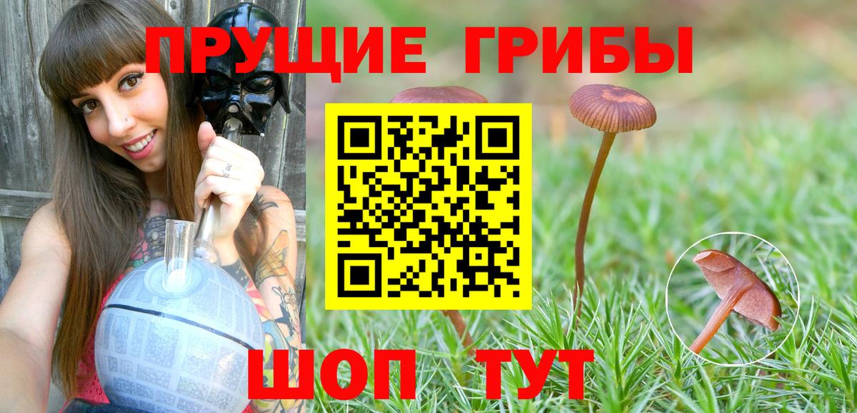 Галлюциногенные грибы MAGIC MUSHROOMS  Галлюциногенные грибы MAGIC MUSHROOMS  Вход с VPN  Алексеевка 