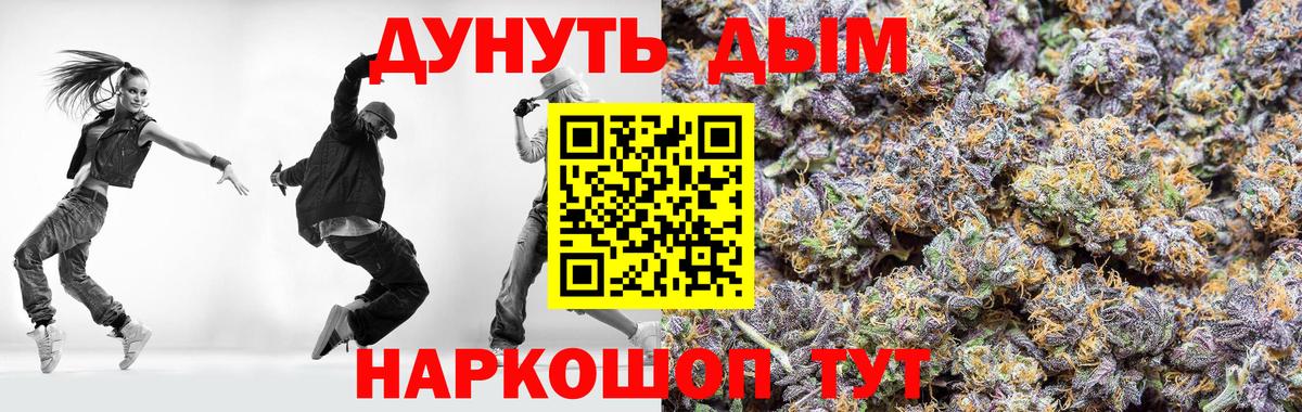 Конопля сатива Алексеевка